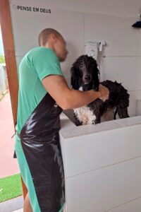 ReabilitaCÃO inicia nova turma de banho e tosa e reforça qualificação profissional no sistema prisional